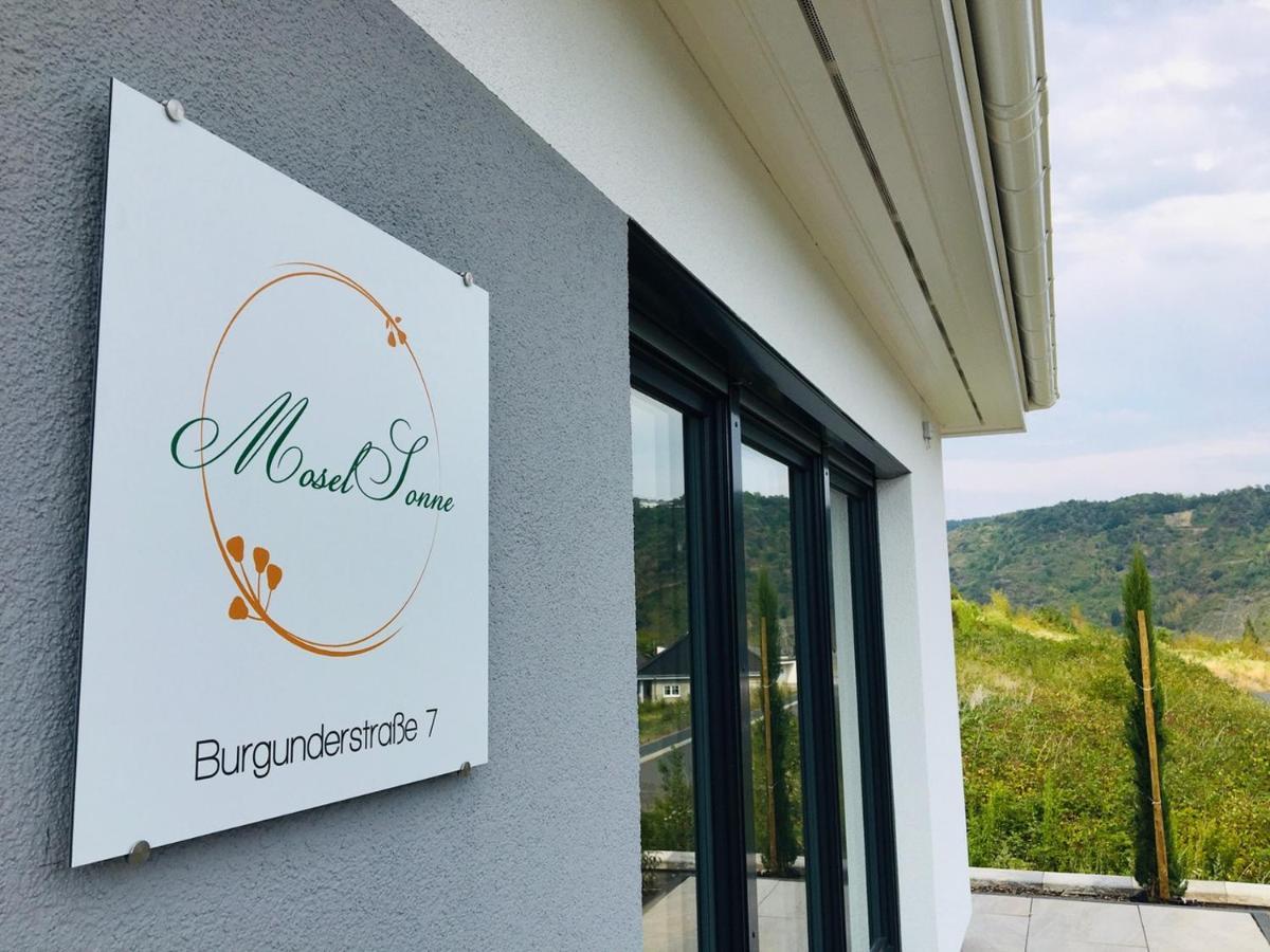 Neu - Premium-Ferienhaus Mosel-Sonne Traben-Trarbach Εξωτερικό φωτογραφία