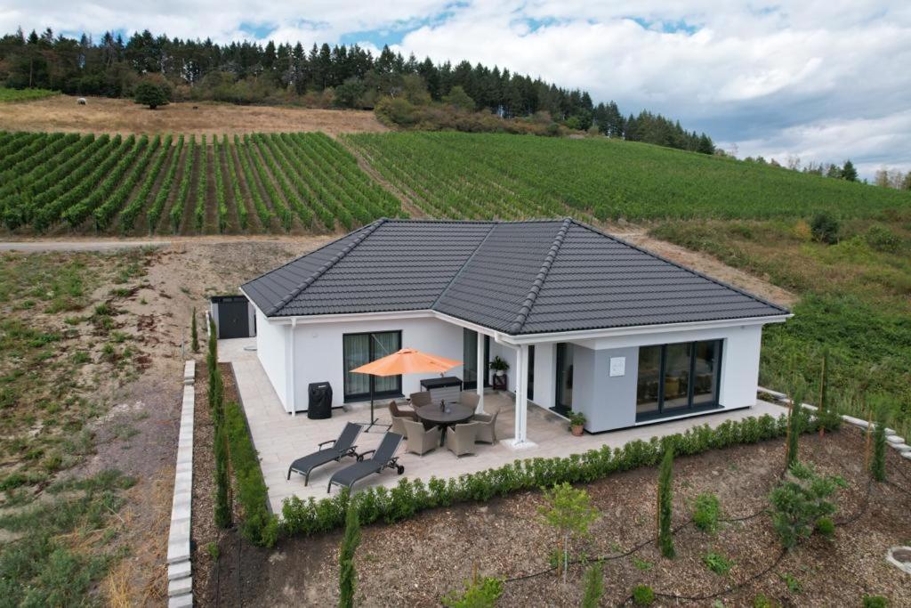Neu - Premium-Ferienhaus Mosel-Sonne Traben-Trarbach Εξωτερικό φωτογραφία